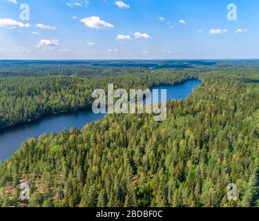 Veduta aerea della strada tra la foresta verde estiva e il lago blu in Finlandia Foto Stock