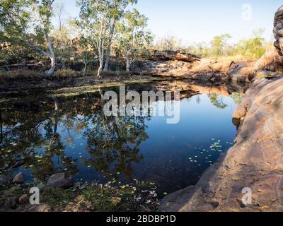 Alberi e cielo si riflettono nelle acque fisse delle piscine di Donkey, il fiume Charnley, il Kimberley Foto Stock