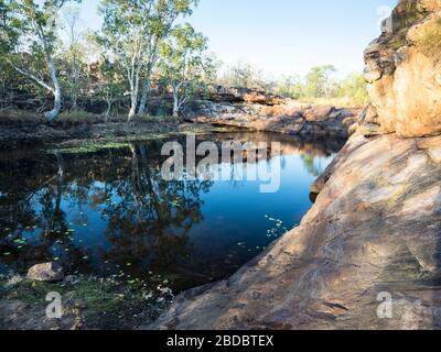 Alberi e cielo si riflettono nelle acque fisse delle piscine di Donkey, il fiume Charnley, il Kimberley Foto Stock