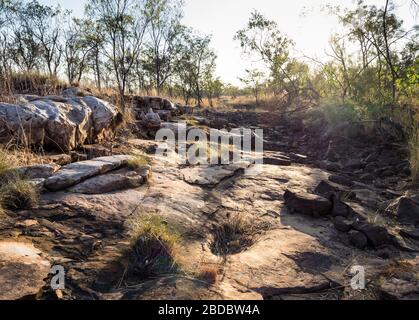 Letto sul fiume vicino alle piscine Donkey, al fiume Charnley, al Kimberley, nell'Australia Occidentale. Foto Stock