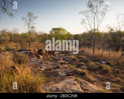 Savana tropicale e letto a ruscello secco vicino alle piscine asino. Stazione di Charnley River. Il Kimberley. Foto Stock