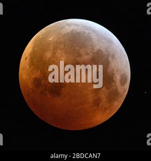 Eclissi di luna super, Lunar Eclipse, supermoon rosso sangue, luna / Blutmond, rosso arancio luna piena con stelle scintillanti su gennaio 21, 2019, Germania Foto Stock