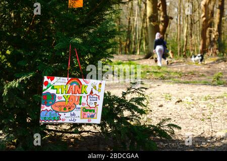 8 aprile 2020, Southborough Common, Kent, UK: Messaggi per bambini che ringraziano il personale NHS e i principali lavoratori appesi su un albero messo in su per lo scopo su Southborough Common durante il governo ha imposto quarantena / blocco per ridurre la diffusione del coronavirus. I bambini di tutto il paese hanno messo messaggi e disegni di arcobaleni nelle finestre e altrove per diffondere la speranza e incoraggiare la gente a rimanere allegra durante la pandemia. Due donne che camminano i loro cani possono essere visti sullo sfondo. Foto Stock