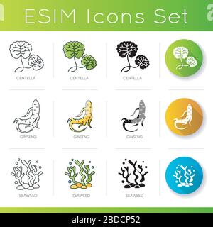 Set di icone degli ingredienti cosmetici. Centella lascia. Radice di ginseng. Componente di alghe nei prodotti per la cura della pelle. Dermatologia, cosmetologia. Lineare, nero e RGB Illustrazione Vettoriale