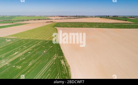 Trattore agricolo che lavora sul campo Foto Stock