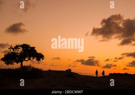 Le albe e i tramonti ci ricordano quanto bella vita che ci dà un sacco di speranze e futuro Foto Stock