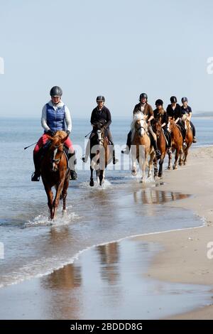 28.04.2018, Dierhagen, Meclemburgo-Pomerania occidentale, Germania - Germania - Donne che cavalcano con i loro cavalli sulla spiaggia del Mar Baltico. 00S180428D468 Foto Stock