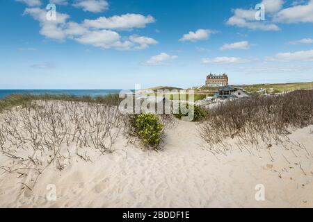 Marram Grass Ammophila arenaria cresce sul sistema di dune di sabbia che domina Fistral Beach a Newquay in Cornovaglia. Foto Stock