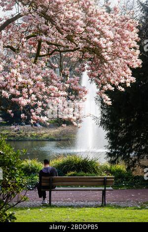 27.03.2020, Essen, Renania Settentrionale-Vestfalia, Germania - tempo libero nel parco della città durante la crisi di Corona, un giovane è seduto al lago con un fo Foto Stock