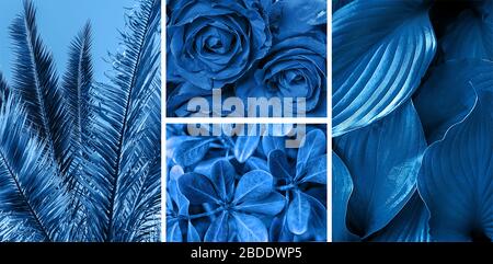 Collage con diverse immagini tonate in colore Classic Blue - colot dell'anno 2020. Foto Stock