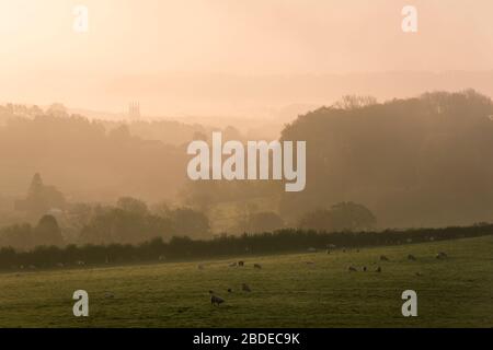 Nebbia mattutina all'alba sopra la città di Wells vista dalla riserva naturale nazionale di Ebbor Gorge nelle colline Mendip, Somerset, Inghilterra. Foto Stock