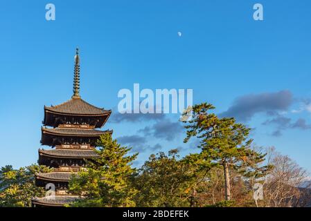 Pagoda a cinque piani all'interno del tempio buddista Kofuku-ji, uno dei sette grandi templi della città di Nara, Prefettura di Nara, Giappone Foto Stock