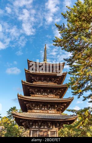 Pagoda a cinque piani all'interno del tempio buddista Kofuku-ji, uno dei sette grandi templi della città di Nara, Prefettura di Nara, Giappone Foto Stock