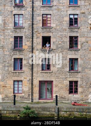 Leith, Edimburgo, Scozia, Regno Unito. 8 Aprile 2020. Covid-19 Lockdown: In uno dei giorni più caldi di sole finora quest'anno con persone in Lockdown. Un uomo e il suo cane siedono precariosamente in una finestra aperta del terzo piano nel magazzino cooperage convertito in appartamenti sulla Shore lungo l'acqua di Leith Foto Stock