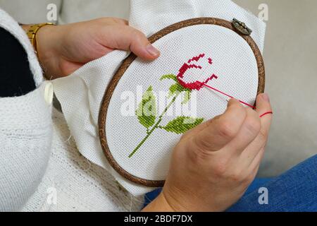 lavorazione del canavice con tecnica etemin. donna in primo piano che maneggia il modello di canavice sulle sue mani. realizzazione di motivi floreali su tessuto etamino in ricamo Foto Stock