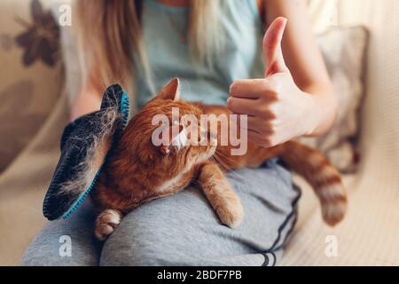 Gatto spazzolante con guanto per rimuovere i capelli degli animali domestici. Donna che si prende cura dell'animale combinandolo con guanto in gomma per le mani a casa Foto Stock