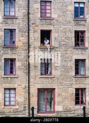 Leith, Edimburgo, Scozia, Regno Unito. 8 Aprile 2020. Covid-19 Lockdown: In uno dei giorni più caldi di sole finora quest'anno con persone in Lockdown. Un uomo e il suo cane siedono precariosamente in una finestra aperta del terzo piano nel magazzino cooperage convertito in appartamenti sulla Shore lungo l'acqua di Leith Foto Stock