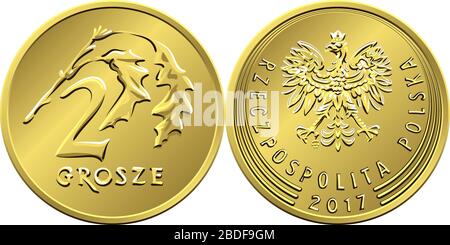 Vettore Polish Money due Grosze rame moneta inversa con valore e 2 foglie obverse con aquila in corona d'oro Illustrazione Vettoriale