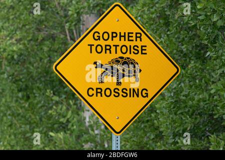 Attenzione indicata da Gopher Tartoise Crossing Road segno in Florida a Ding Darling National Wildlife Refuge su Sanibel Island Foto Stock