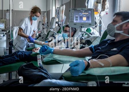 Pavia, Italia. 8 aprile 2020. Pavia. Trasfusione di plasma da un paziente recuperato da COVID19 ad un paziente infetto da coronavirus trattamento sperimentale diretto dal medico Cesare Perotti presso l'Ospedale Policlinico San Matteo di Pavia (Carlo Cozzoli/Fotogramma, Pavia - 2020-04-08) p.s. la foto e' utilizzabile nel ripetto del contesto in cui e' sta scattata, E senza intenzione diffamatorio del decore delle persone rappresentate Credit: Independent Photo Agency Srl/Alamy Live News Foto Stock