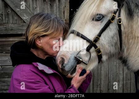 Donna in piedi fuori stalla, baciare bianco cavallo COB. Foto Stock