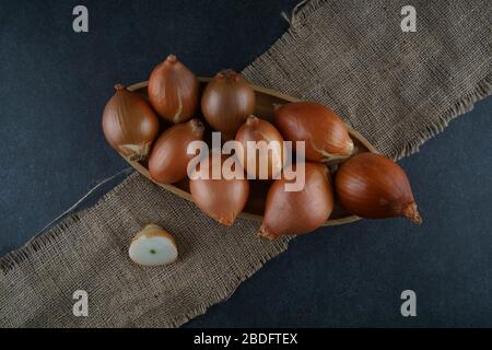 Un gruppo di cipolle su sfondo scuro Foto Stock