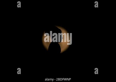 Kathmandu, Nepal. 8 Aprile 2020. Una statua del compianto re Pratap Malla è raffigurata contro la luna piena durante lo spettacolo rosa della luna super a Kathmandu, Nepal, mercoledì 08 aprile 2020. Credit: Skanda Gautam/ZUMA Wire/Alamy Live News Foto Stock