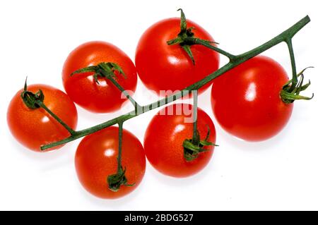 Pomodori di vite su uno sfondo bianco chiaro. Foto Stock