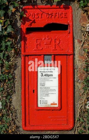 Cassetta postale rossa costruita in un muro, circondata da Ivy nella campagna Cumbria, Regno Unito. Foto Stock