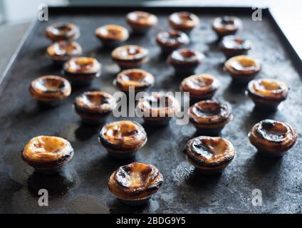 Pastéis de Nata (tarte Custard) prodotto a mano a Borba, Alentejo, Portogallo Foto Stock