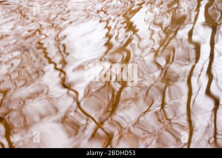 Astratto gli alberi sfocati rispecchiano la riflessione su una superficie d'acqua increspata di colore marrone e bianco Foto Stock