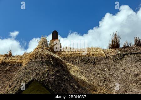 Foto del tetto con tetto in paglia, Foto del tetto, Foto di riparazione, Foto dell'azienda agricola, Foto dell'industria edile, Foto di lavoro, Foto, Reed, Foto Stock