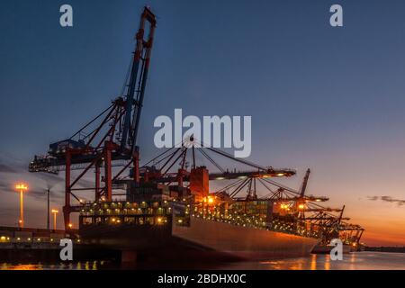 Autogru container nel Waltershofer Hafen di Amburgo al tramonto Foto Stock