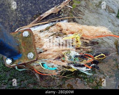 Inquinamento spiaggia micro plastica e industria della pesca commerciale corda di plastica scarta in mare. Cornwall Regno Unito. Credito: Robert Taylor/Alamy. Foto Stock