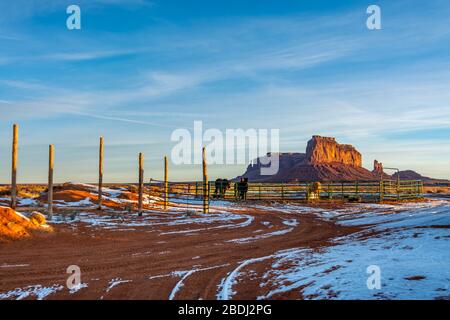 Cavalli in una Corral nella Monument Valley, Utah Foto Stock