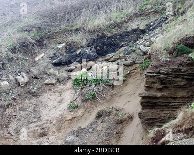 Inquinamento spiaggia micro plastica e industria della pesca commerciale corda di plastica scarta in mare. Cornwall Regno Unito. Credito: Robert Taylor/Alamy. Foto Stock