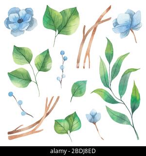 Set di elementi floreali di foglie verdi e fiori di anemone blu. Elementi acquerelli isolati su sfondo bianco Foto Stock