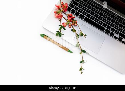 Splendidi fiori in fiore di melo, notebook e un notebook su sfondo bianco. Lavoro in ufficio, concetto di business rimanere a casa. Foto Stock