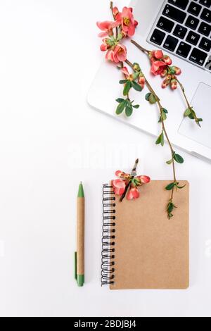 Splendidi fiori in fiore di melo, notebook e un notebook su sfondo bianco. Lavoro in ufficio, concetto di business rimanere a casa. Foto Stock