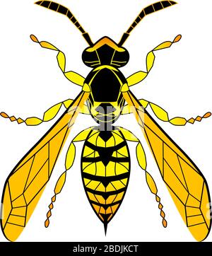 Fumetto per il disegno di linee WASP. Bee giallo isolato su sfondo bianco. Boumblebee disegnata a mano dootle, illustrazione grafica vettoriale. Stile Zentangle. Vetro macchiato di insetti. Illustrazione Vettoriale