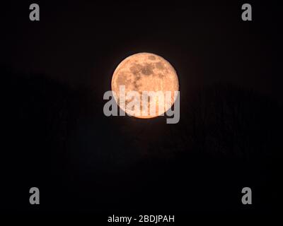 Superluna rosa che sorge su Wirksworth Derbyshire UK Foto Stock