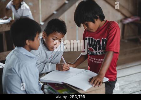 Bambini indigeni che imparano, territorio di Shiwiar, Ecuador Foto Stock