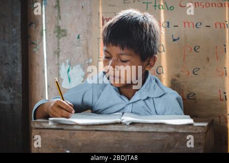 Bambini indigeni che imparano, territorio di Shiwiar, Ecuador Foto Stock