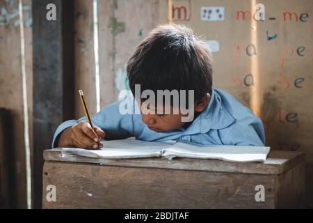 Bambini indigeni che imparano, territorio di Shiwiar, Ecuador Foto Stock