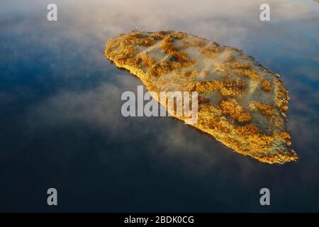 Dal drone sopra vista di nebbia bianca galleggianti su piccola isola con alberi autunnali e lago con acque calme in campagna in Islanda Foto Stock