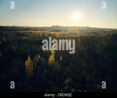 Dall'alto pittoresco scenario di fitta foresta con alberi verdi e gialli contro il cielo limpido con il sole luminoso nella campagna in Islanda Foto Stock