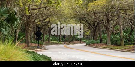 Bella Hammock Dunes Parkway con baldacchino ad albero a Palm Coast, Florida. (STATI UNITI) Foto Stock