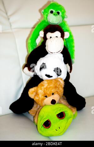 teddies guardando insieme Foto Stock