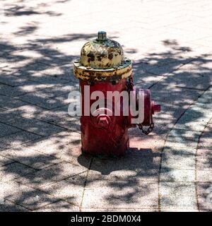 Un solone ruggine rosso e giallo fuoco idrante, marciapiedi pavers in luce del sole e ombra da un albero preso nel centro di Hartford Foto Stock