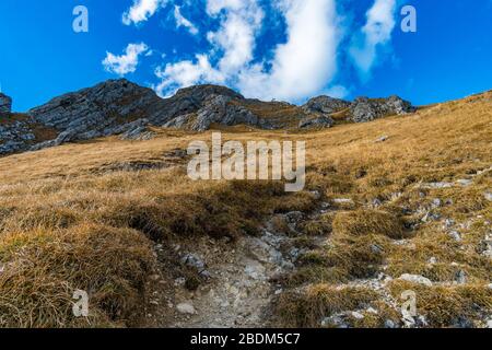 Bellissimo tour in montagna all'Aggenstein al tramonto nel Tannheimer tal Foto Stock